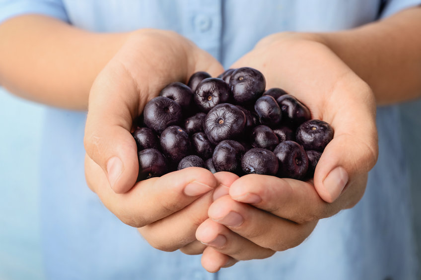 Acai bobule plné aktivních látek